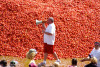 Độc đáo lễ hội Tomatina 2019 tại Tây Ban Nha